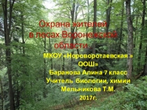 Презентация по биологии на тему Лес и его обитатели