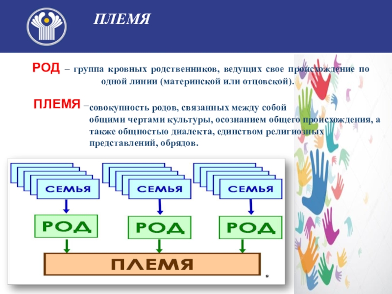 Группа род. Род племя. Семья род племя. Группа кровных родственников ведущих свое происхождение. Род это группа кровных родственников по.