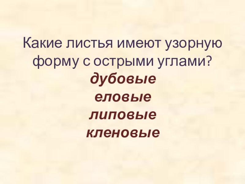 Какие листья имеют узорную форму с острыми углами? дубовые      еловые липовые