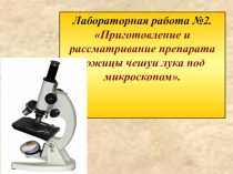 Презентация по биологии на тему