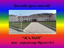 Ара балы және оның пайдасы