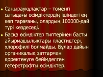 Урок по теме саңырауқұлақтар