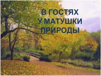 Презентация по экологическому классному часу В гостях у матушки Природы