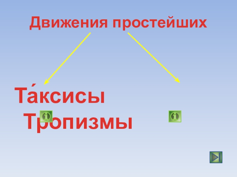 Презентация координация и регуляция