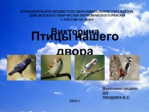 Викторина-игра Птицы нашего двора