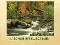 Презинтация для ДОУ Лесное путешествие