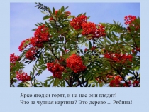 Презентация НОД по художественно- эстетическому развитию в средней группе Гроздь рябины