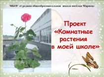 Презентация по биологии Комнатные растения