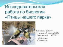 Презентация по биологии на тему Птицы нашего парка