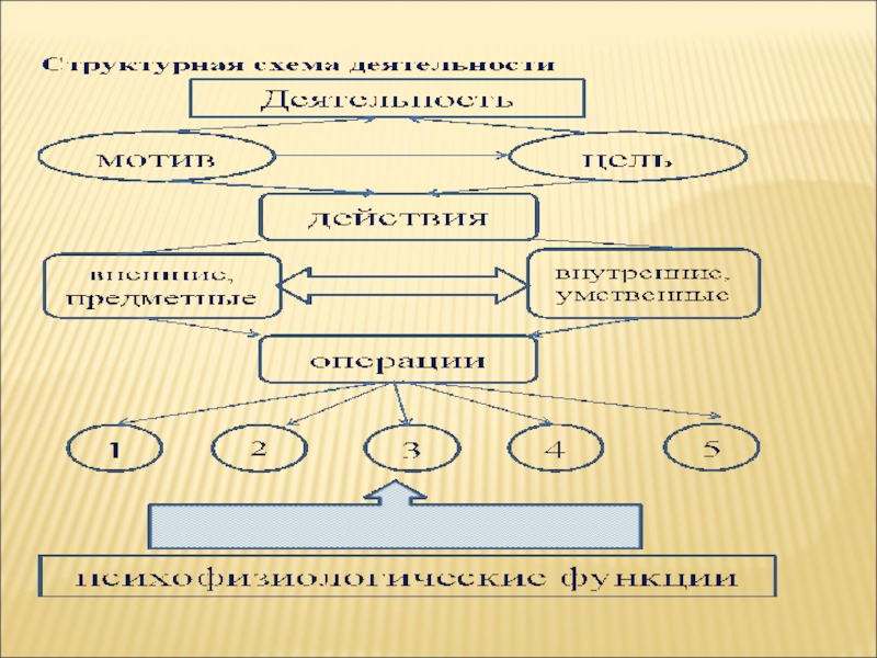 Суть производимых действий. Операции деятельности. Действие и деятельность. Структура деятельности деятельность действия операции. Структура деятельности: действия, операции, движения.