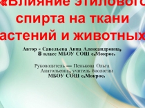 Презентация Влияние этилового спирта на ткани растений и животных