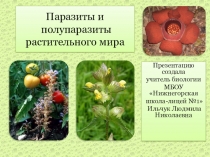 Презентация по биологии Паразиты и полупаразиты растительного мира