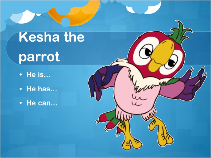 Kesha the parrotHe is…He has…He can…