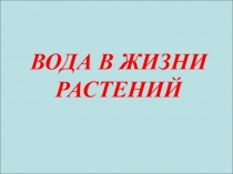 Исследовательская работа 6 класс Вода в жизни растений
