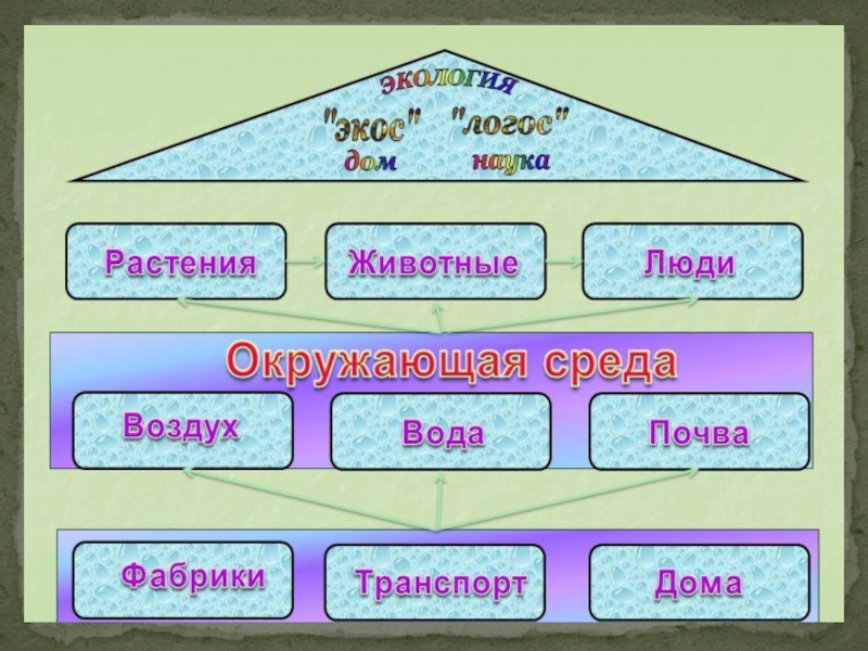 Презентация что такое экология 3 класс окружающий мир презентация