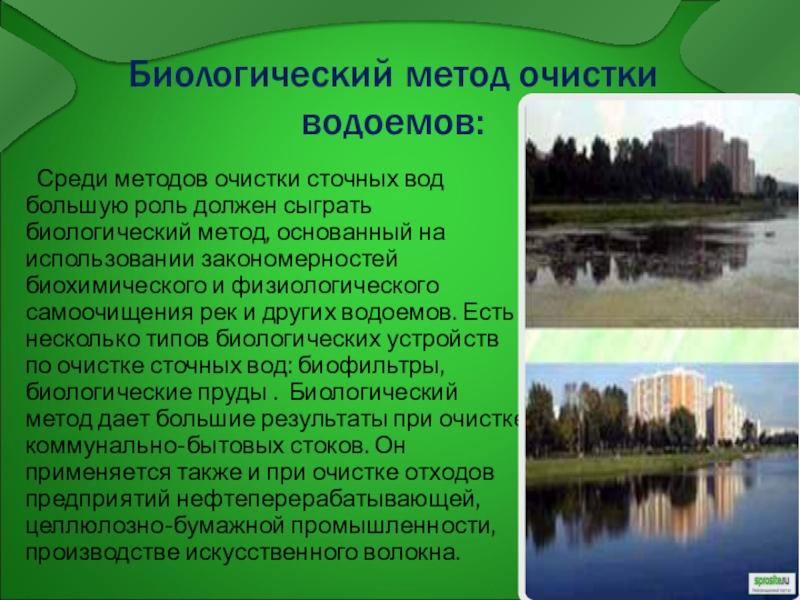 Проект очистки водоема