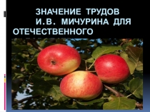 Презентация по биологии на тему Значение трудов И.В. Мичурина для отечественного садоводства