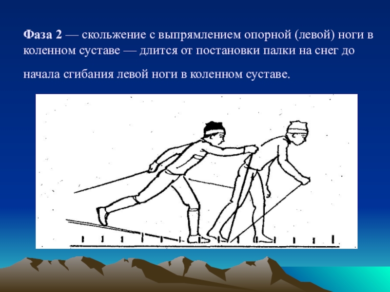 Свободно скользящий. Скольжение с выпрямлением опорной ноги. Скольжение на лыжах. Фазы скольжения на лыжах. Свободное скольжение на левой лыже.