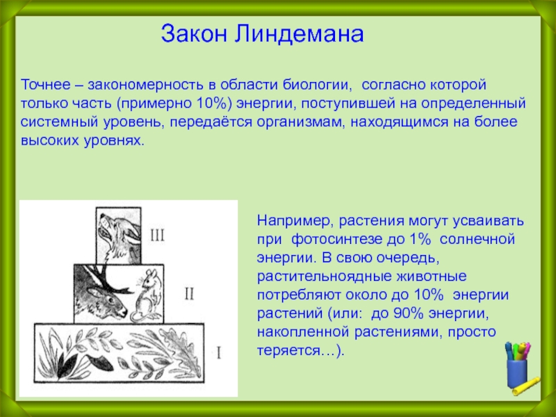 Схема создания закона в биологии