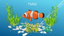 Презентация по окружающему миру Рыбы