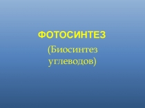 Презентация Фотосинтез (9 класс)