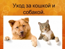 Презентация по живому миру на тему  Уход за домашними животными