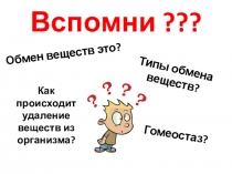 Урок 8 класс. Выделительная система