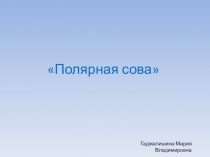 Дидактический материал на тему Полярная сова