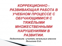 Коррекционно –развивающая работа в учебном процессе с обучающимися с тяжелыми и множественными нарушениями в развитии