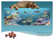 Презентация о домашнем животном Наша кошка