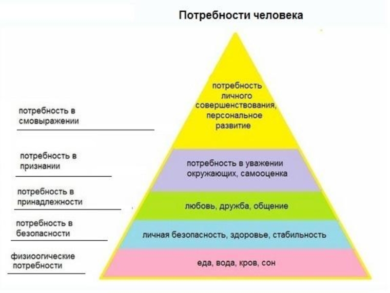 Виды потребностей схема