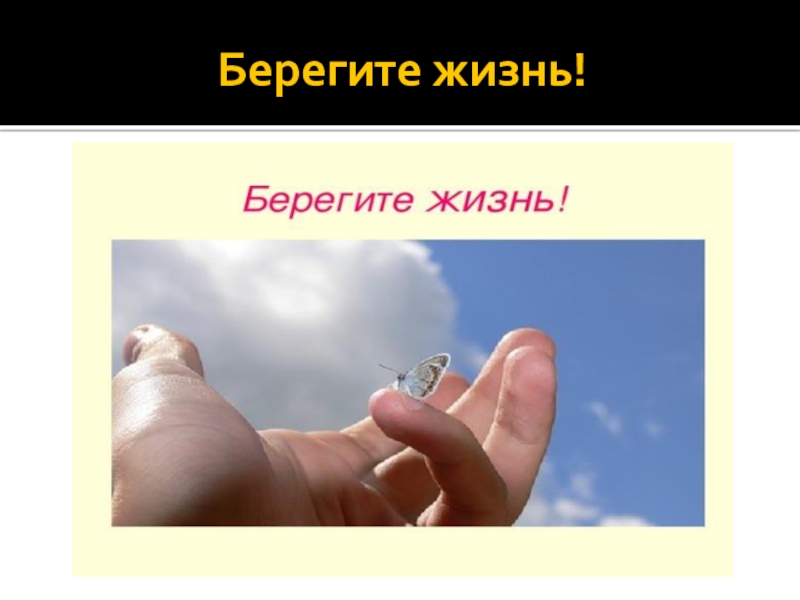 Береги свою жизнь. Берегите свою жизнь. Надпись берегите себя. Берегите жизнь. Берегите жизнь картинки.