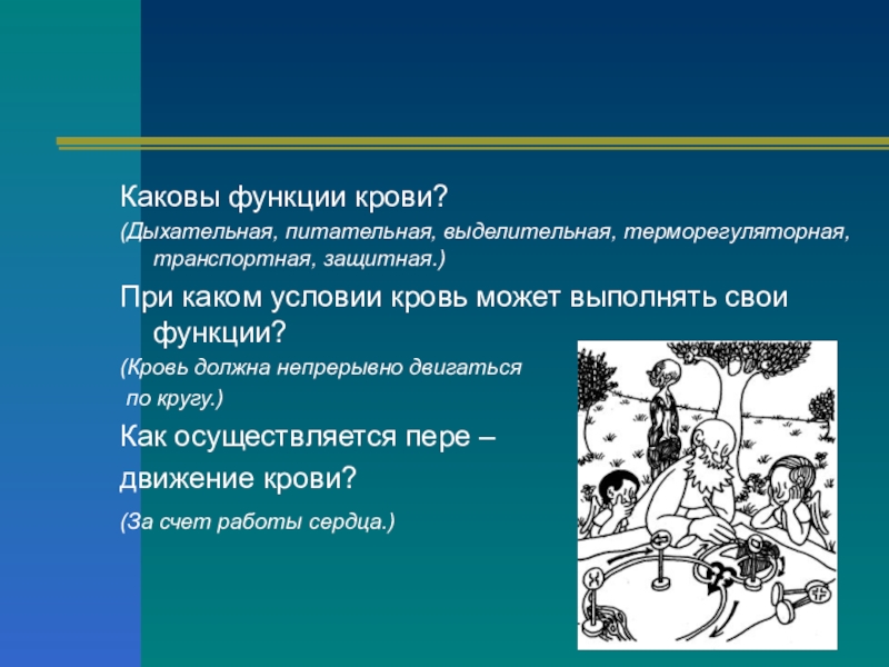 Каковы функции. Каковы функции крови?. Выделительная функция крови. Дыхательную функцию крови выполняют. Какова роль кровообращения в организме.