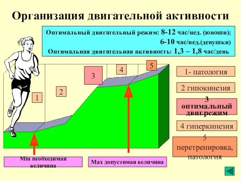 Физическая культура в обеспечении здоровья презентация