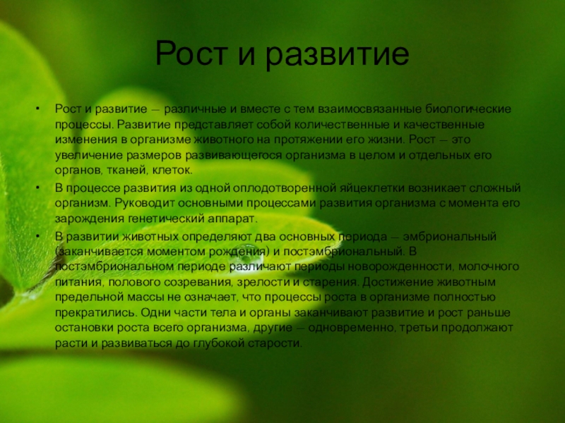 Развитие представлено. Почему рост и развитие организмов взаимосвязаны. Рост характеристика процесса биология. Факты о росте и развитии животных. Развитие организма это качественные изменения а рост.