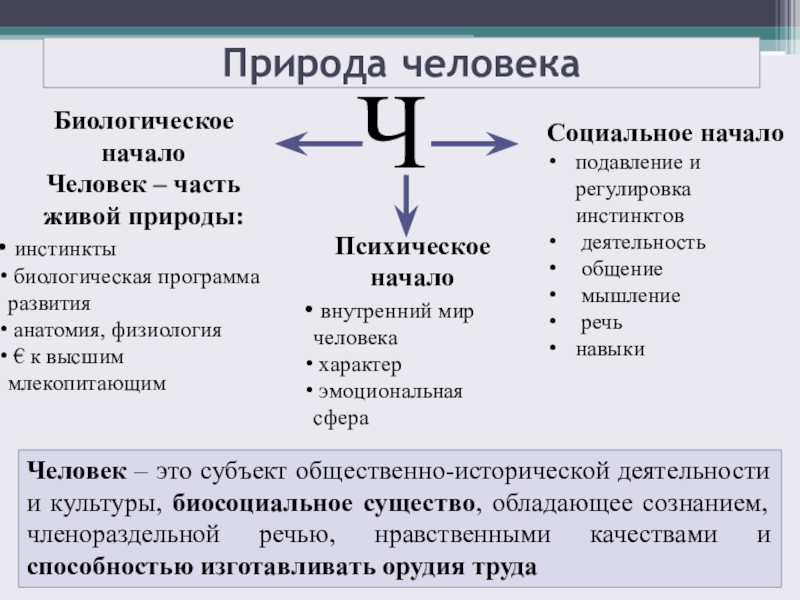 Природное и социальное в сущности человека. Биологические инстинкты человека. Биологическая и социальная природа человека. Биологическая и социальная сущность человека. Биологические и социальные качества человека.