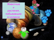 Презентация для внеклассного мероприятия на тему: Животные и растения, побывашие в космосе