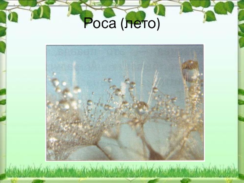 Какие явления изображены. Природное явление роса 1 класс. Роса явление природы 3 класс. Роса при каком явлении природы. Какое явление природы названо красивым словом роса.