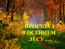 Прогулка в осеннем лесу''