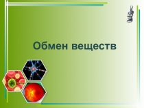 Презентация по биологии на тему Обмен веществ (8 класс)