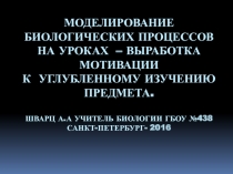 Моделирование биологических процессов - мотивация к обучению