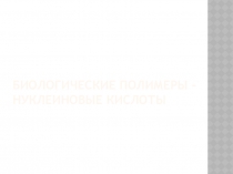 Презентация урока Биологические полимеры - нуклеиновые кислоты