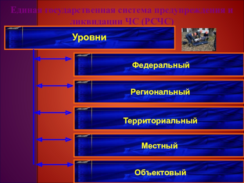 Территориальный и местный. Федеральный региональный муниципальный уровни. Уровень федеральный региональный локальный. Региональный и местный уровень. Федеральный региональный и местный уровни.