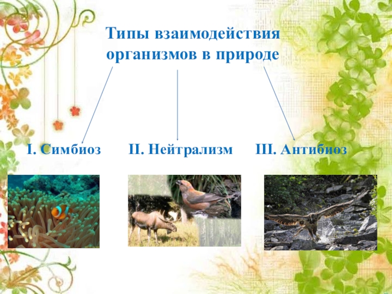 Взаимодействие организмов в природном сообществе 5 класс. Типы взаимоотношений организмов в природе. Виды взаимодействия тел в природе. Взаимосвязи организмов в природных сообществах. Типы взаимодействий в природе.