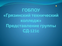 Презентация группы страхового дела СД-121с