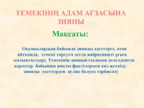 Биологиядан Темекінің адам ағзасына зияны презентация 8 сынып