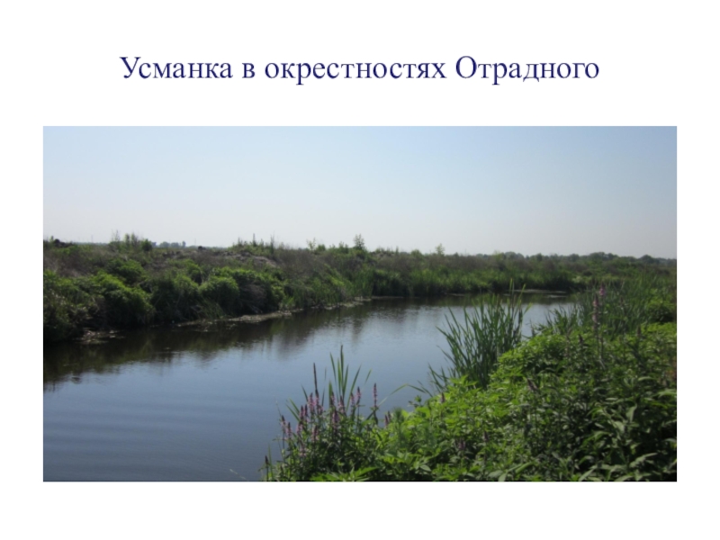 Карта отрадного воронежской области