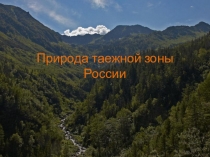 Презентация по географии Природа таёжной зоны России.