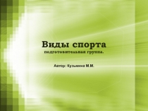Презентация по физической культуре Виды спорта