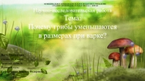 Презентация по теме исследовательской работы Почему грибы уменьшаются в размерах при варке